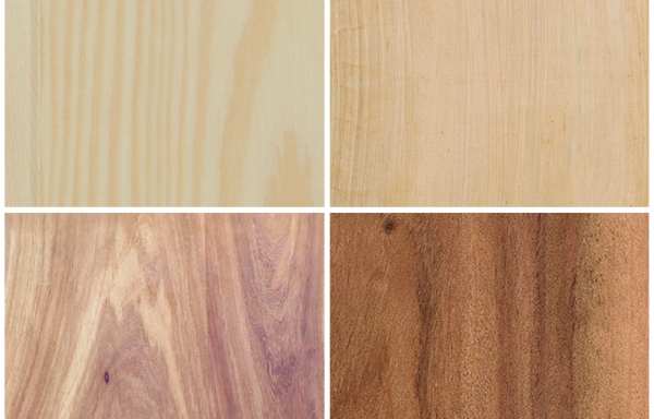 WOOD AND STAIN OPTIONS